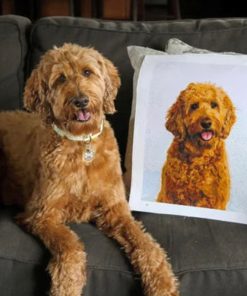 Customized dog painting by numbers