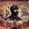 2pac Graffiti - People Paint By Number