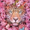 Tiger Purple Flowers - NEW Paint By Numbers