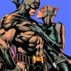 Batman And Catwoman Heroes Paint by numbers