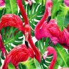 Flamingos In Monstera Plants Paint by numbers