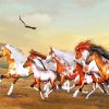 Wild Horses Herd Paint by numbers