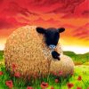 Sheep In Poppy Field Paint by numbers