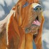 Bloodhound Dog Art Paint by numbers