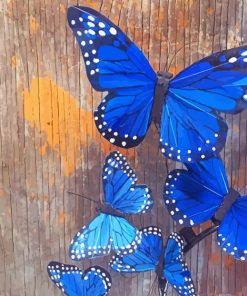 Blue-monarch-butterfly-paint-by-number