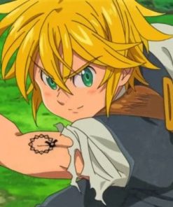 Nanatsu No Taizai Meliodas paint by numbers