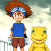 Tai Kamiya And Agumon Characters Paint by numbers