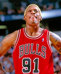 dennis-rodman-chicago-bulls-paint-by-number