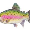 Trout Illustration Paint by numbers