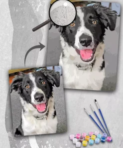 Custom Paint By Numbers​ Pets