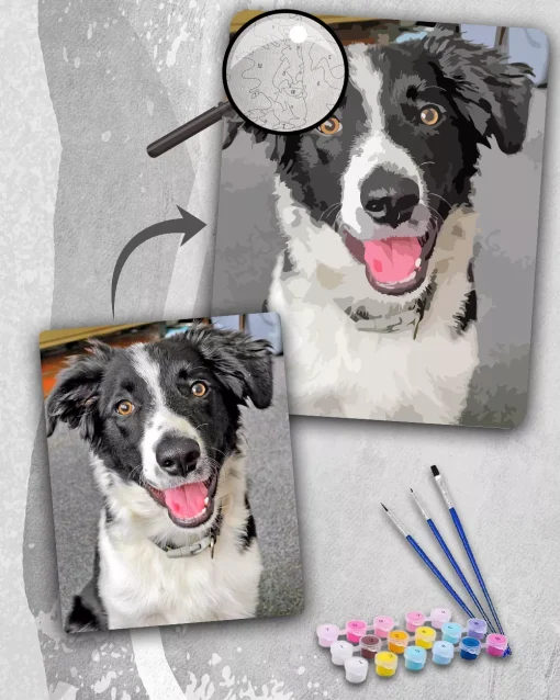 Custom Paint By Numbers​ Pets
