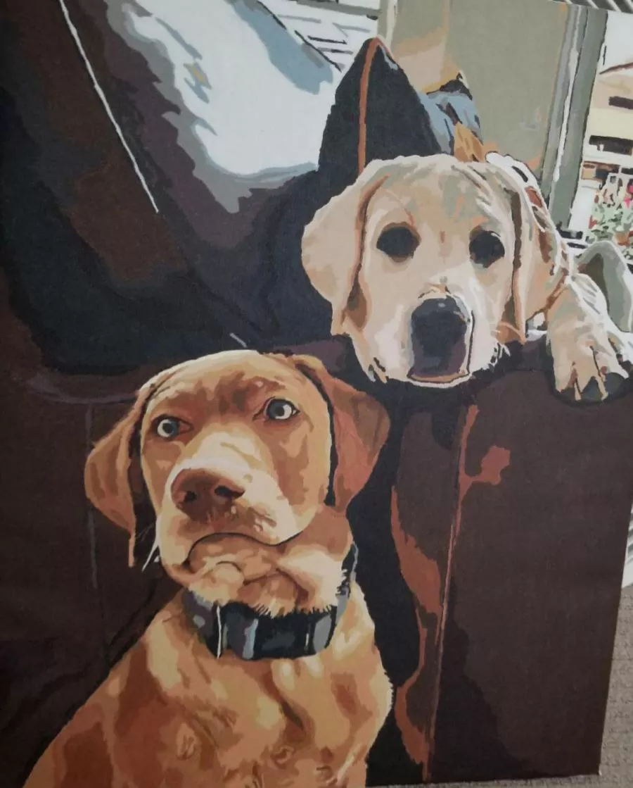 Custom Paint By Numbers​ Pets review 1