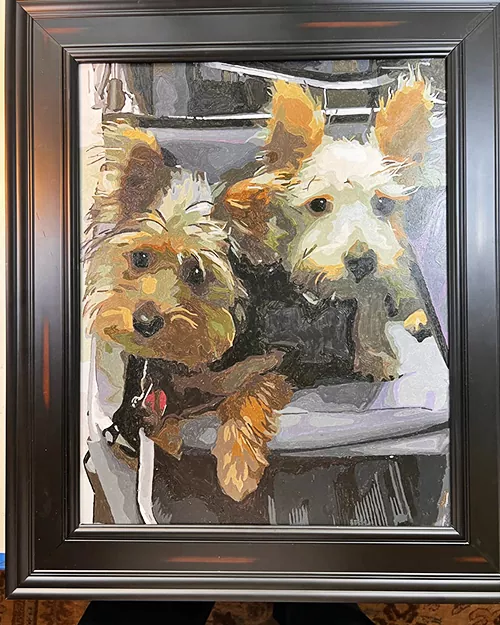 Custom Paint By Numbers​ Pets review 2