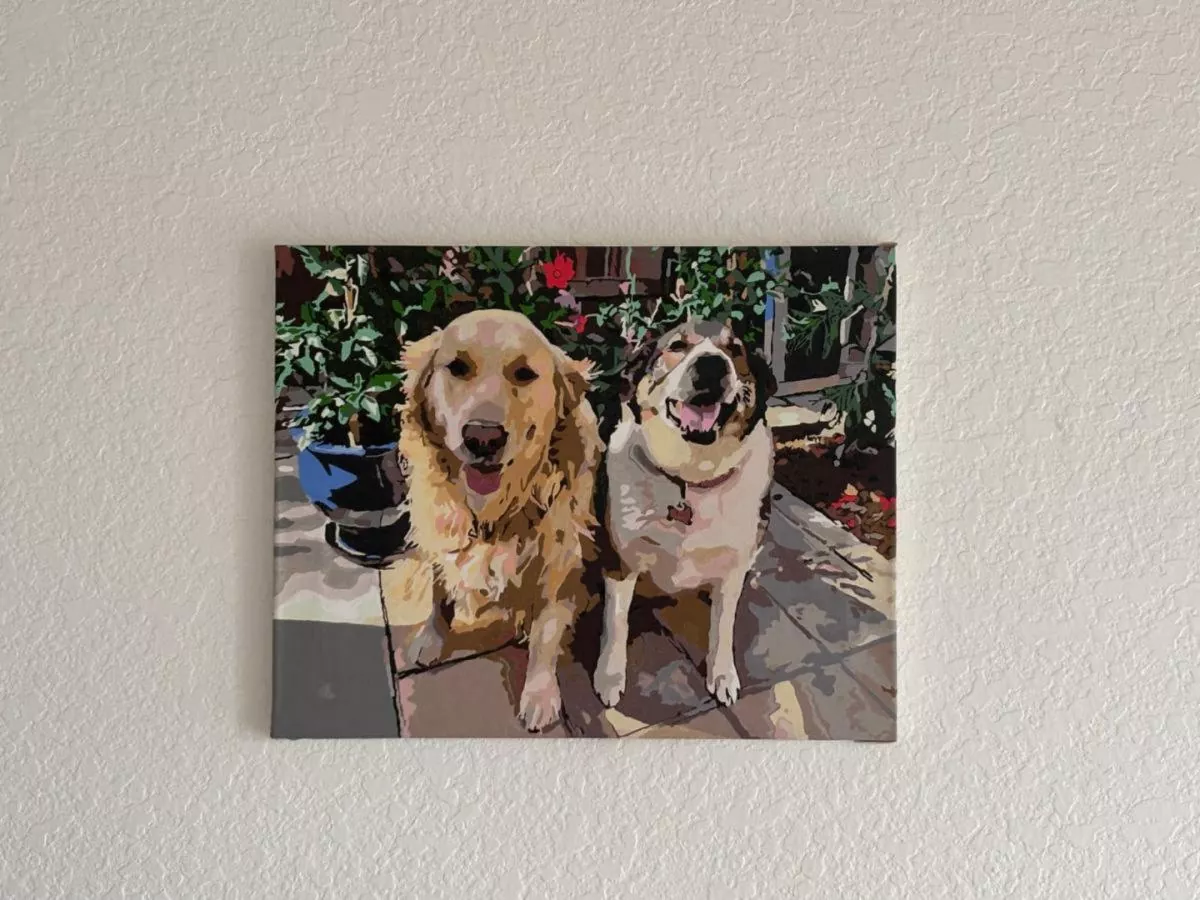 Custom Paint By Numbers​ Pets review 3