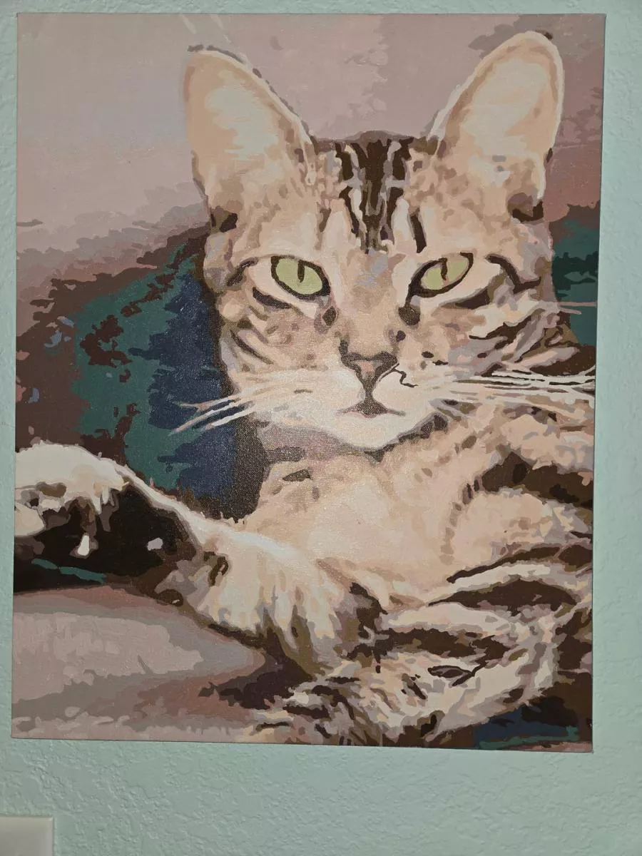 Custom Paint By Numbers​ Pets review 4