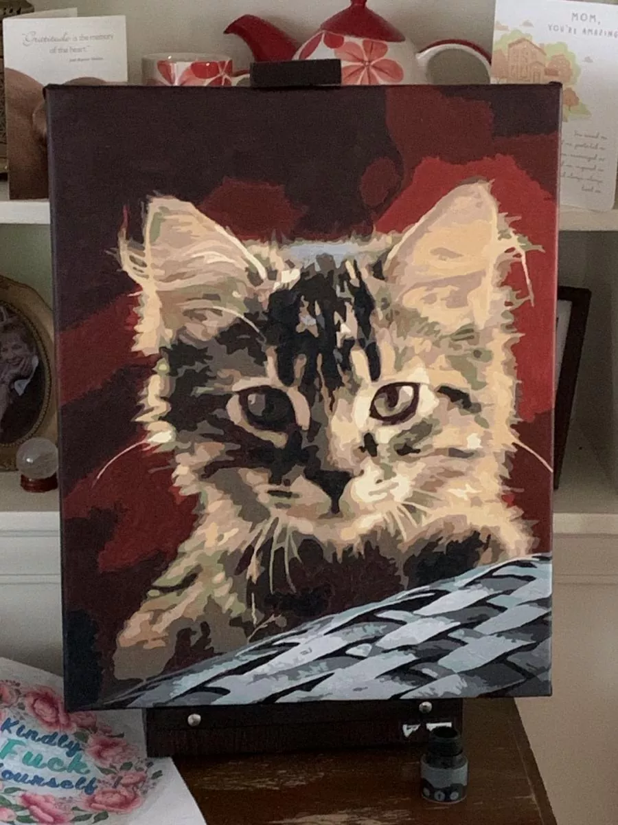 Custom Paint By Numbers​ Pets review 5