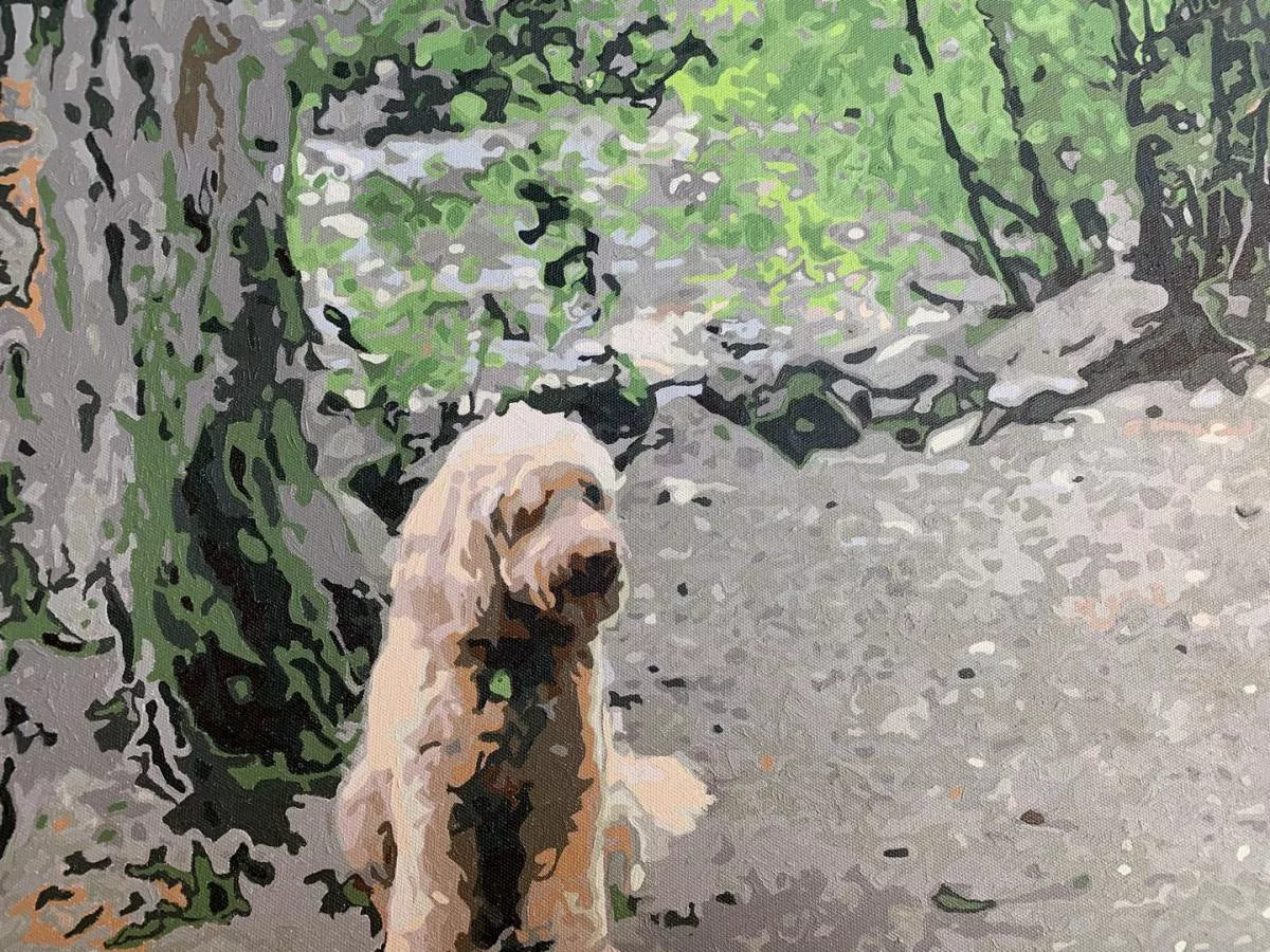 Custom Paint By Numbers​ Pets review 6