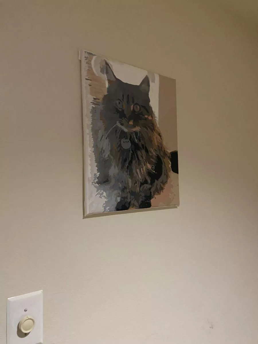 Custom Paint By Numbers​ Pets review 7