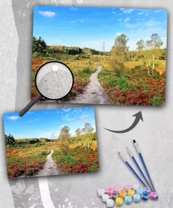 Custom Painting By Numbers Landscape​